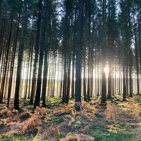 ô Secret Du Wérihay 3*