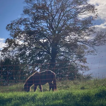 ô Secret Du Wérihay